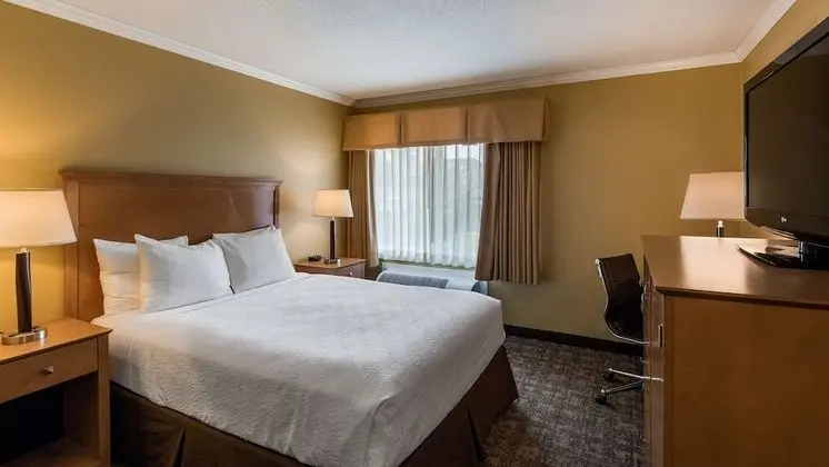 Standard Oda, 1 Büyük (Queen) Boy Yatak, Sigara İçilmez, Buzdolabı ve Mikrodalga (Pet Friendly)