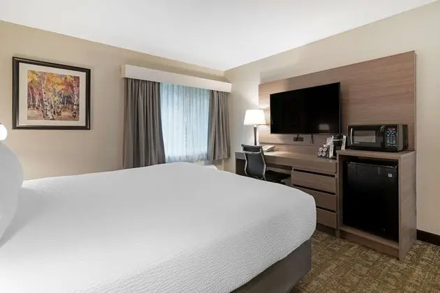 Standard Oda, 1 Büyük (Queen) Boy Yatak, Sigara İçilmez, Buzdolabı ve Mikrodalga (Pet Friendly)