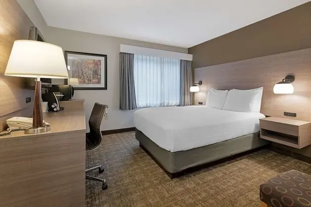 Standard Oda, 1 Büyük (Queen) Boy Yatak, Sigara İçilmez, Buzdolabı ve Mikrodalga (Pet Friendly)