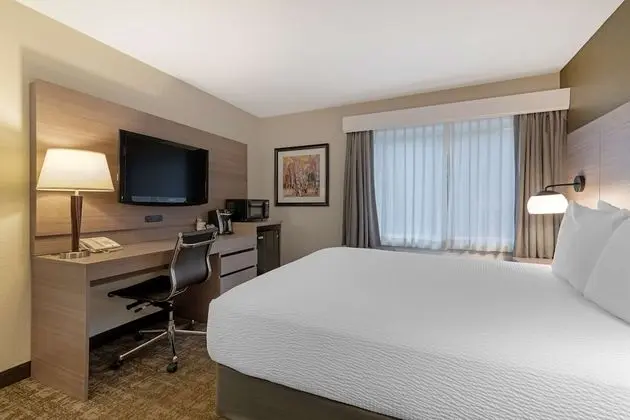 Standard Oda, 1 Büyük (Queen) Boy Yatak, Sigara İçilmez, Buzdolabı ve Mikrodalga (Pet Friendly)