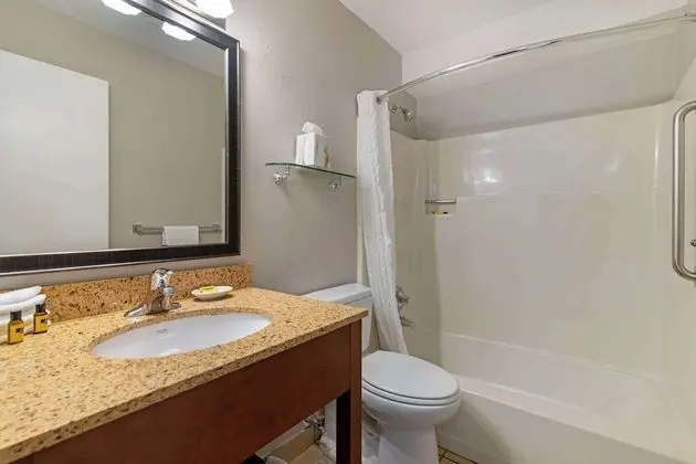 Standard Oda, 1 Büyük (Queen) Boy Yatak, Sigara İçilmez, Buzdolabı ve Mikrodalga (Pet Friendly)