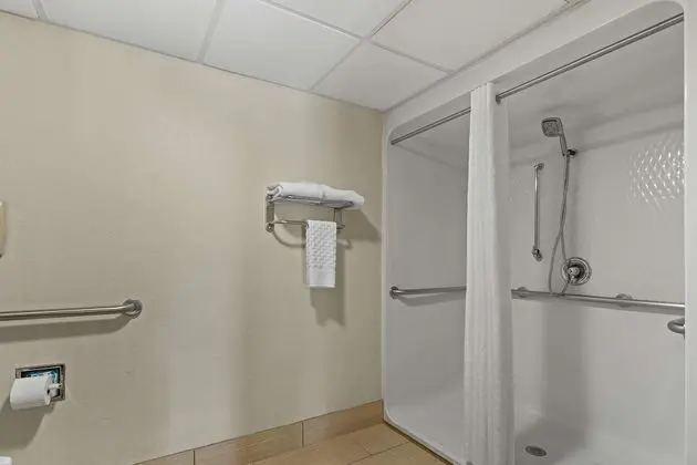 Standard Oda, 1 En Büyük (King) Boy Yatak, Engellilere Uygun, Sigara İçilmez (Walk-in Shower)
