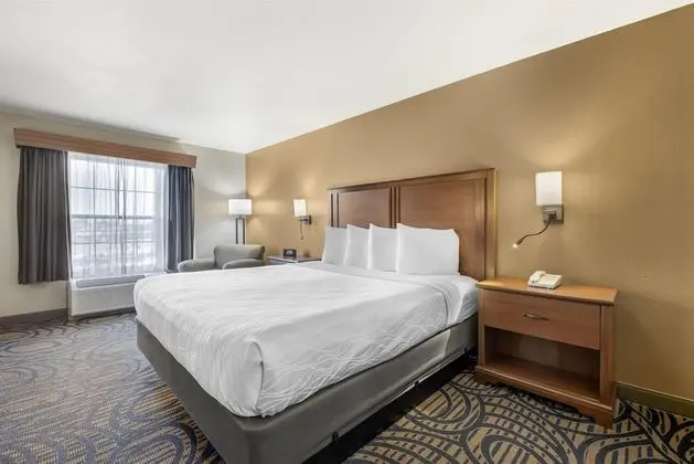 Oda