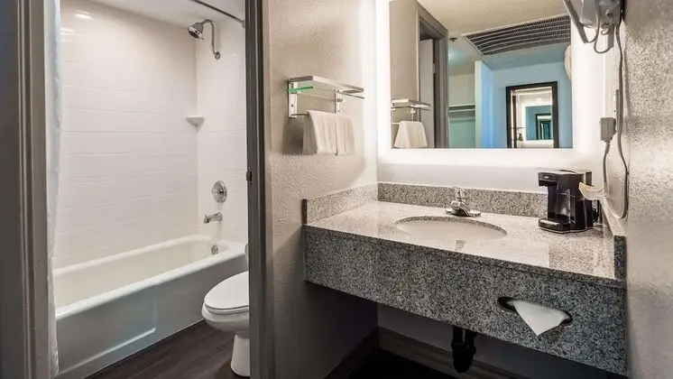 Standard Oda, 1 En Büyük (King) Boy Yatak, Sigara İçilmez, Balkon