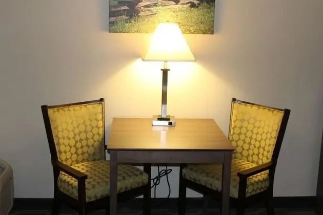 Standard Oda, 2 Büyük (Queen) Boy Yatak, Sigara İçilmez, Buzdolabı (Pet Friendly)