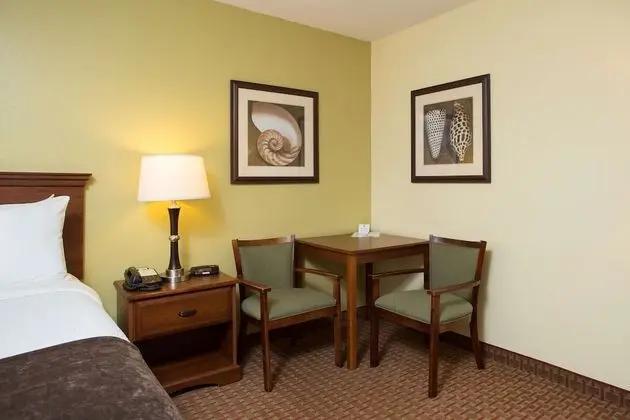 Standard Oda, 1 Büyük (Queen) Boy Yatak, Sigara İçilmez, Buzdolabı