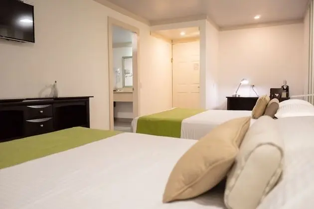 Superior Oda, 2 Çift Kişilik Yatak