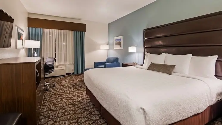 Standard Oda, 1 En Büyük (King) Boy Yatak, Engellilere Uygun, Buzdolabı ve Mikrodalga (Pet Friendly)