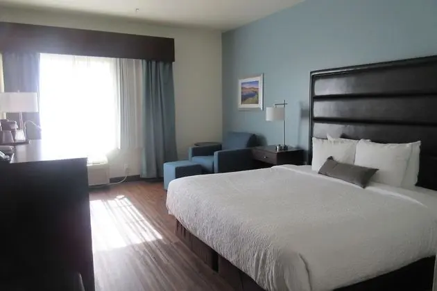 Standard Oda, 1 En Büyük (King) Boy Yatak, Engellilere Uygun, Buzdolabı ve Mikrodalga (Pet Friendly)