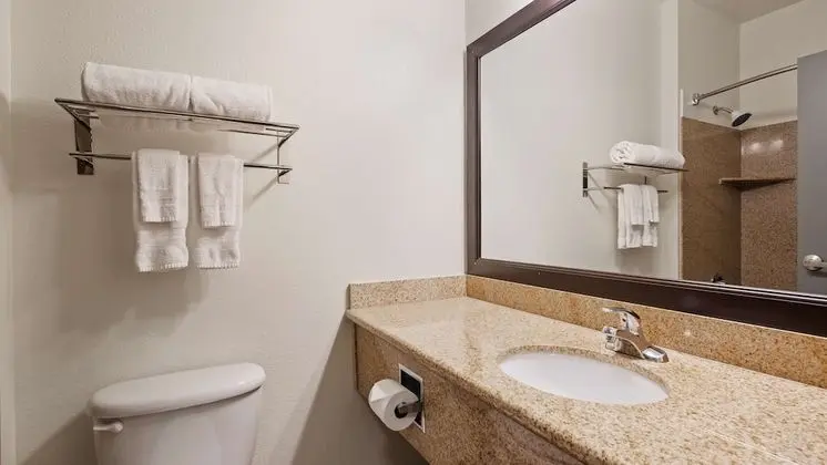 Standard Oda, 2 Büyük (Queen) Boy Yatak, Sigara İçilmez, Buzdolabı ve Mikrodalga (Pet Friendly)