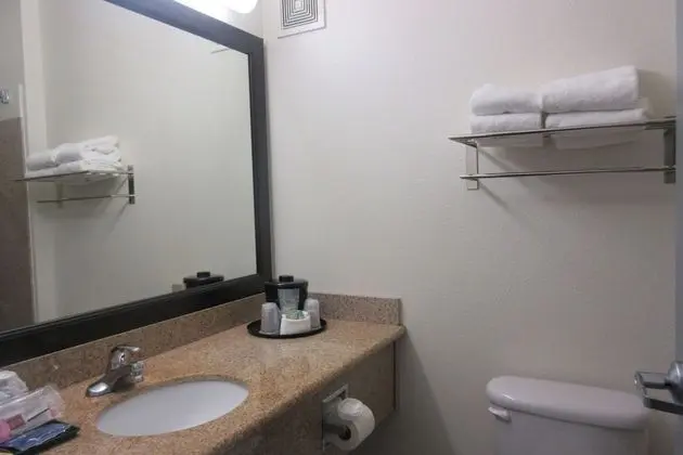 Standard Oda, 2 Büyük (Queen) Boy Yatak, Sigara İçilmez, Buzdolabı ve Mikrodalga (Pet Friendly)