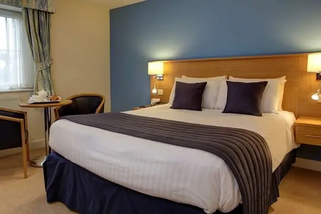 Executive Oda, 1 Çift Kişilik Yatak, Sigara İçilmez