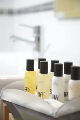 Superior Oda, 1 Çift Kişilik Yatak, Sigara İçilmez