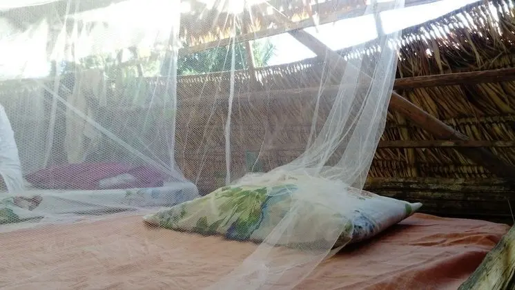 Traditional Ağaç Ev, Karma Ranzalı Oda, Veranda