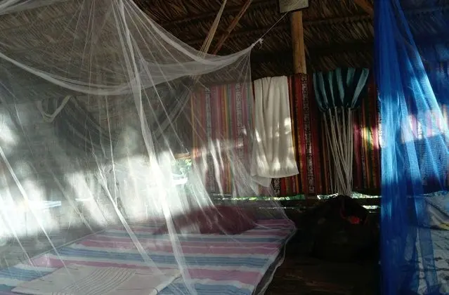 Traditional Ağaç Ev, Karma Ranzalı Oda, Veranda