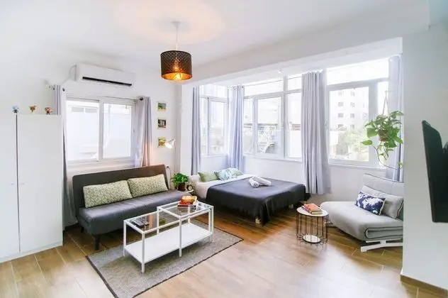 Large Studio Apartment