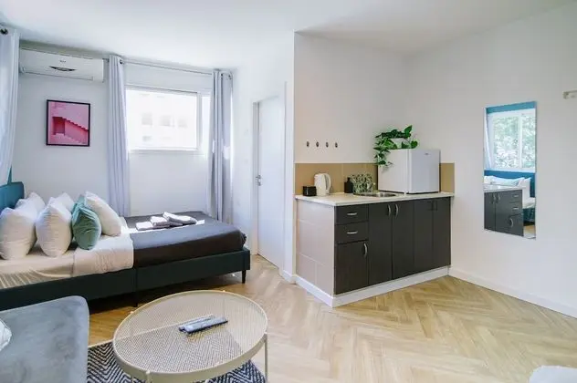 Large Studio Apartment