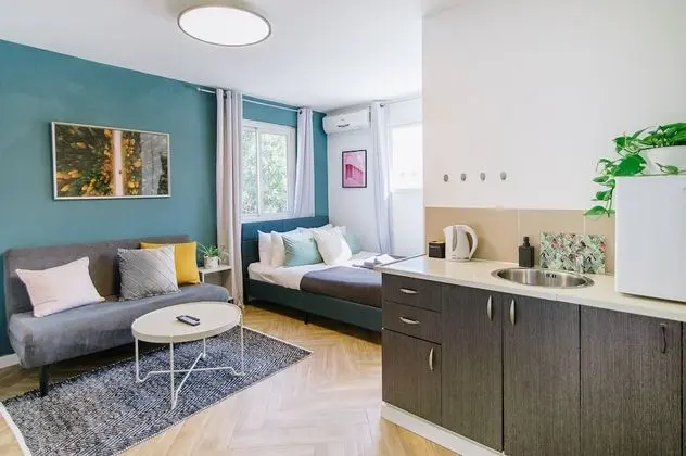 Large Studio Apartment