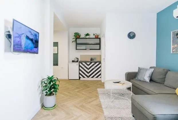 Large Studio Apartment