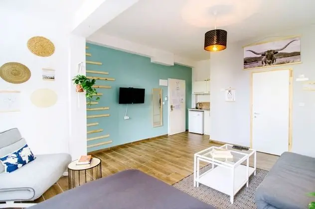 Large Studio Apartment