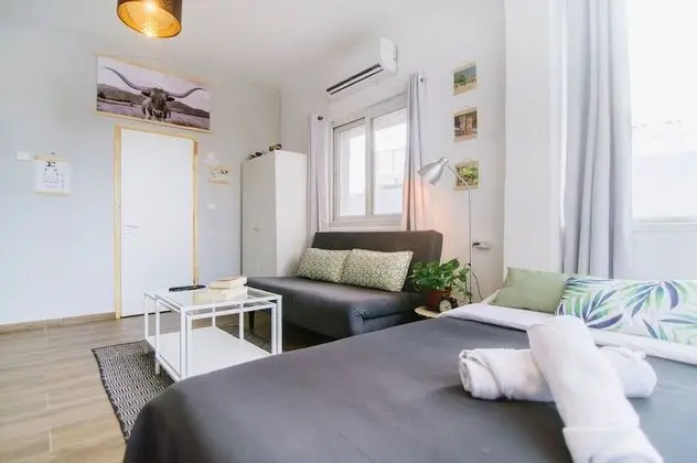 Large Studio Apartment