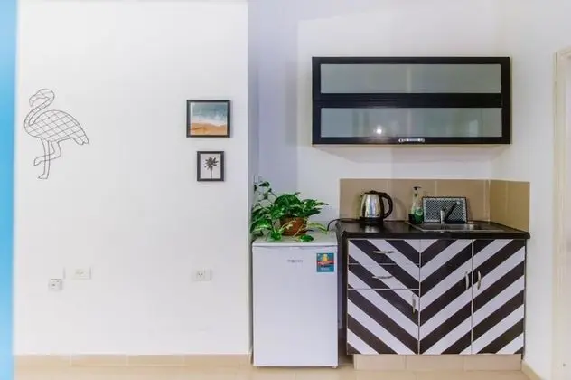 Large Studio Apartment