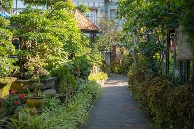 Superior Double or Twin Room With Garden View