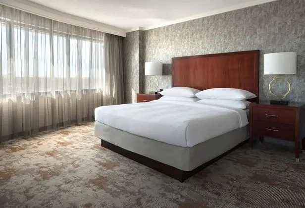 Süit, 1 En Büyük (King) Boy Yatak, Engellilere Uygun, Köşe (Roll-In Shower, 2 Rooms)