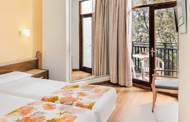 Standard Tek Büyük Yataklı Oda (1 Adult)