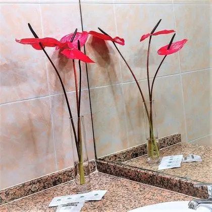 Standard Tek Büyük Yataklı Oda (2 Adults)
