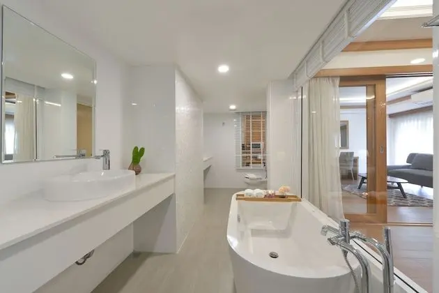 1 Bed Room Suite with Living area