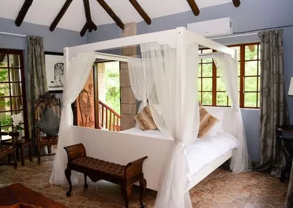Lion Superior King Suite