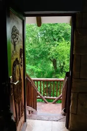 Lion Superior King Suite