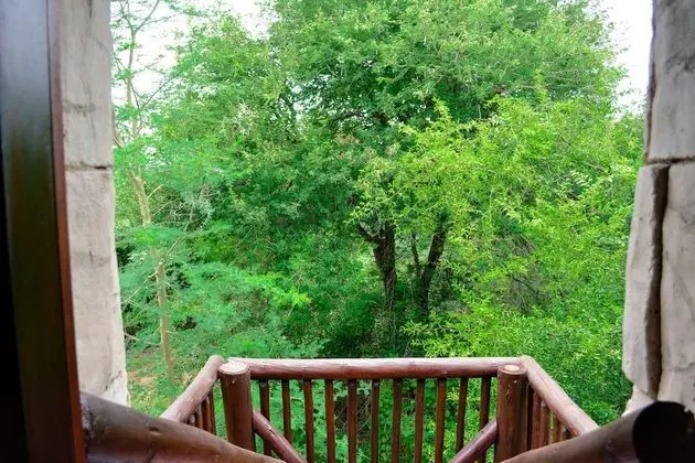 Lion Superior King Suite