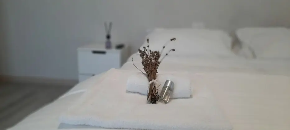 Standard Tek Büyük veya İki Ayrı Yataklı Oda