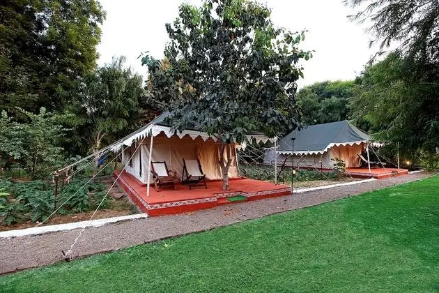 Luxury Çadır, 1 En Büyük (King) Boy Yatak, Sigara İçilmez
