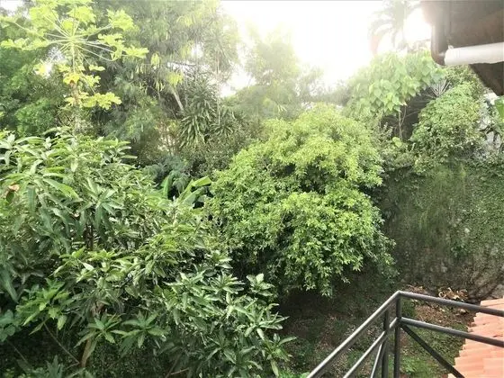 Tek Büyük Yataklı Oda, Balkon
