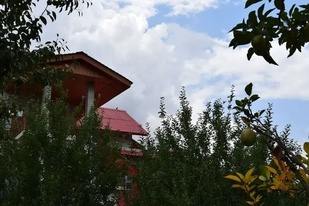 Panoramic Tek Büyük Yataklı Oda, Dağ Manzaralı, Bahçeli