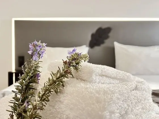 Deluxe Tek Büyük veya İki Ayrı Yataklı Oda