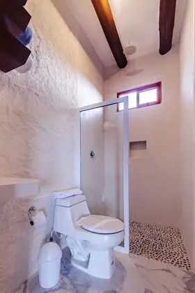Süit