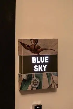 Deluxe Oda, 1 En Büyük (King) Boy Yatak, Sigara İçilmez, Şehir Manzaralı