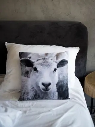 Family Dört Kişilik Oda, 1 Yatak Odası, Teras