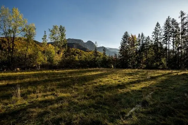 Traditional Tek Büyük Yataklı Oda