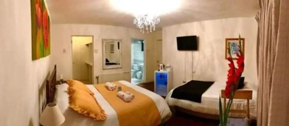 Deluxe Süit, 1 En Büyük (King) Boy Yatak