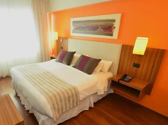 Superior Tek Büyük Yataklı Oda, 1 En Büyük (King) Boy Yatak