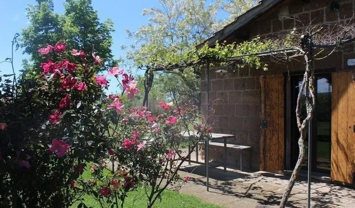 Traditional Stüdyo, 1 Yatak Odası, Şömine, Bahçe Manzaralı