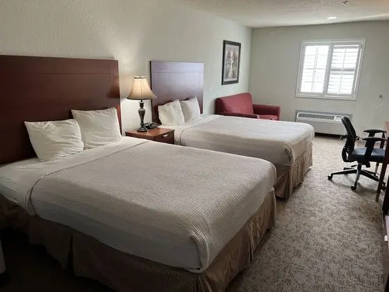 Deluxe Stüdyo Süit