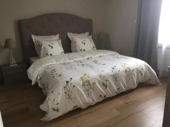 Comfort Tek Büyük veya İki Ayrı Yataklı Oda, Havuz Manzaralı