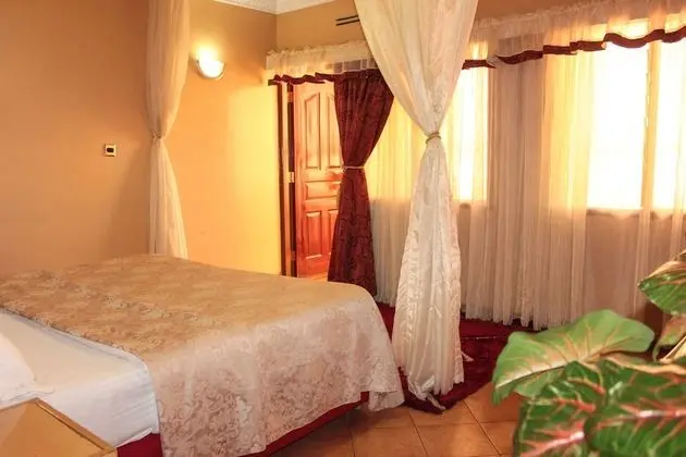 Deluxe Oda, 1 Büyük (Queen) Boy Yatak, Balkon, Şehir Manzaralı