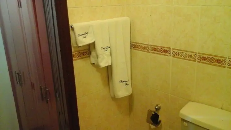 Superior İki Ayrı Yataklı Oda, Balkon, Şehir Manzaralı